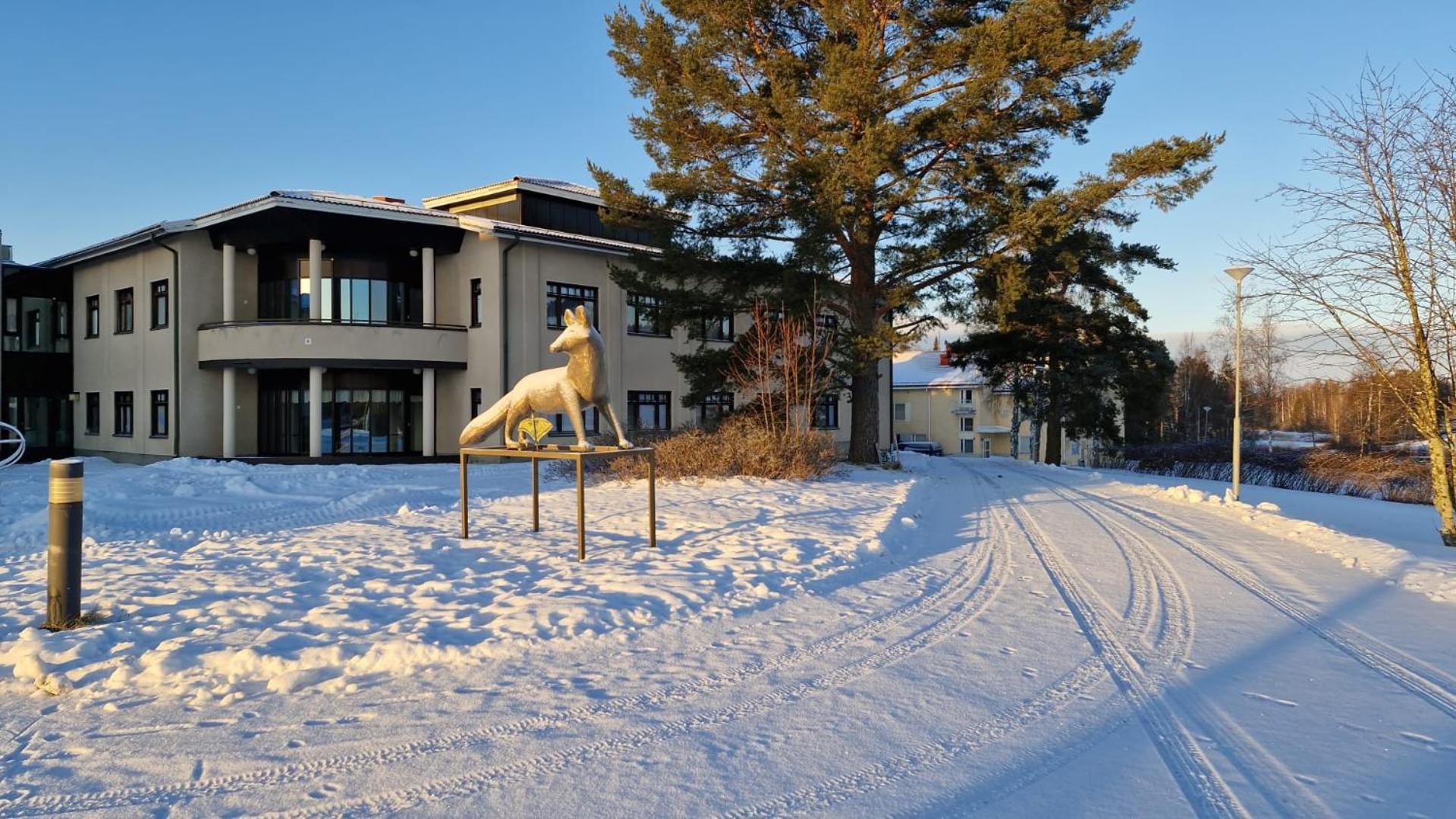 Majoitus Fox Hostel Куопио Екстериор снимка